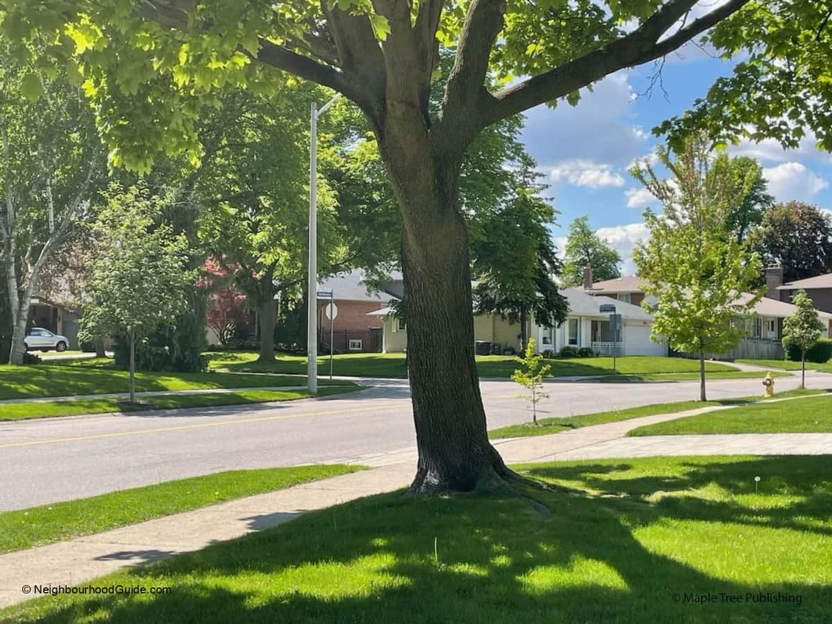 Markland Wood neighbourhood in Toronto